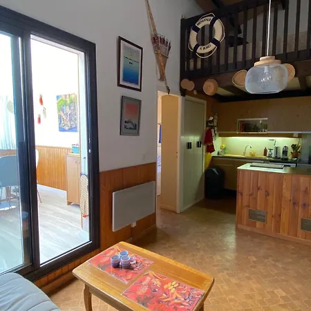 T2 Mezzanine, Parking, Animaux Ok - 5 Pers. - Fr-1-798-72 Appartamento *